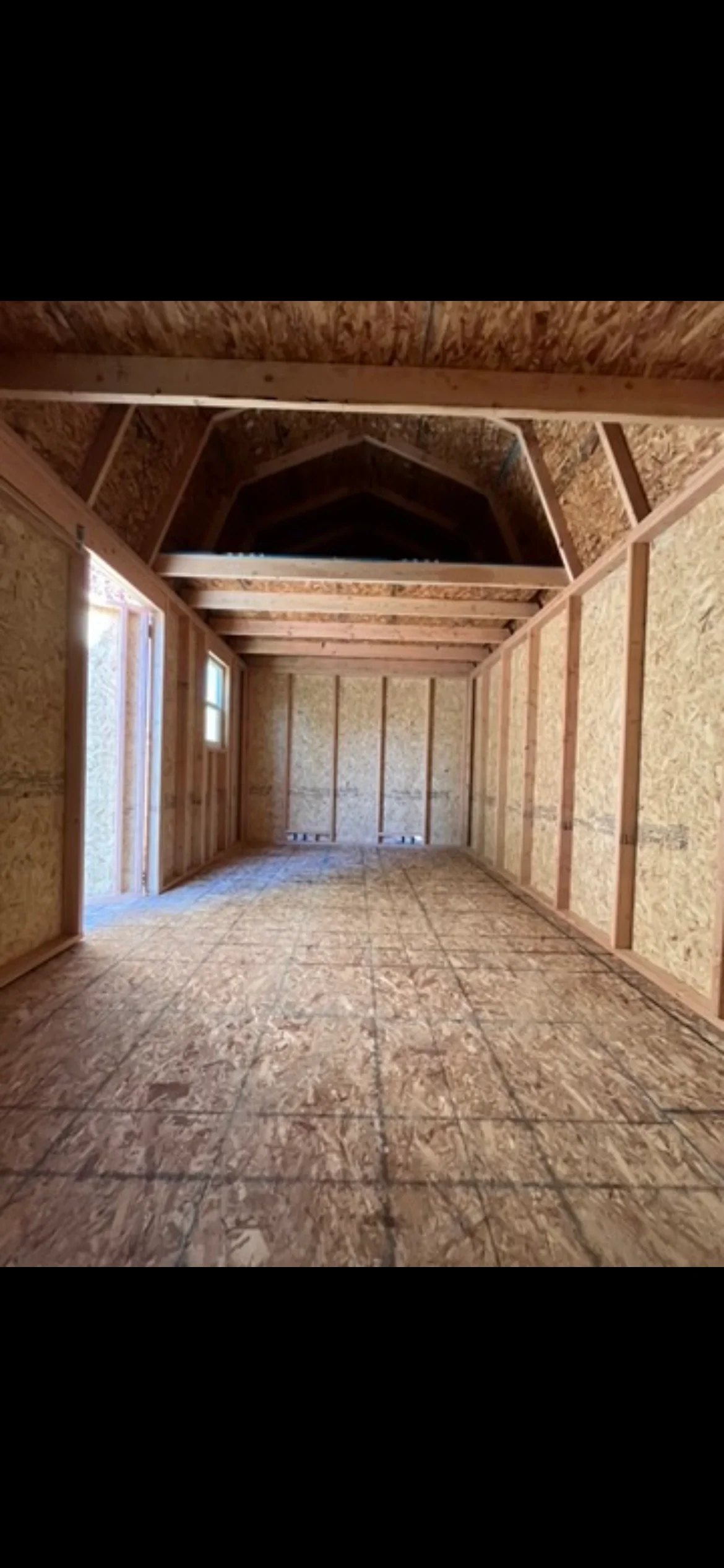 Spacious interior of a barn-style shed with vaulted ceiling, exposed trusses, and OSB sheathing